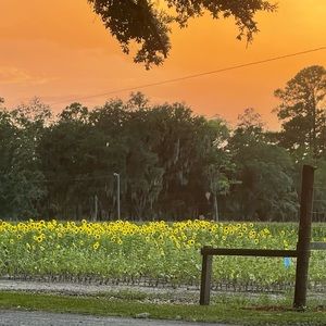 Meet your Posher, Becca